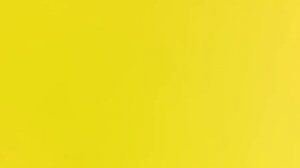 1 час мистер бист + цифровой цирк