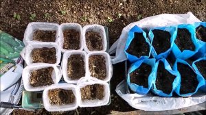 1 апреля .Дачные заботы
