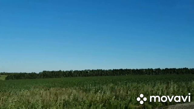 Прогулки по Рязани, село Пальное! смотреть онлайн