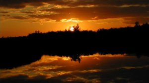 Иеромонах Роман. «Ликует Рим в языческом весельи...»