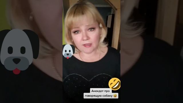 ? Анекдот про говорящую собаку ? смотреть онлайн