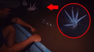 Русалку Сняли На Видео? Страшные Видео И Страшилки