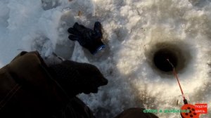 Зимняя рыбалка 2021-2022, ловля карася зимой, карась загибает кивок!