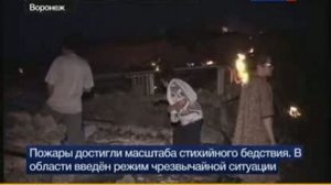 Воронежская область: сводки с огненного фронта