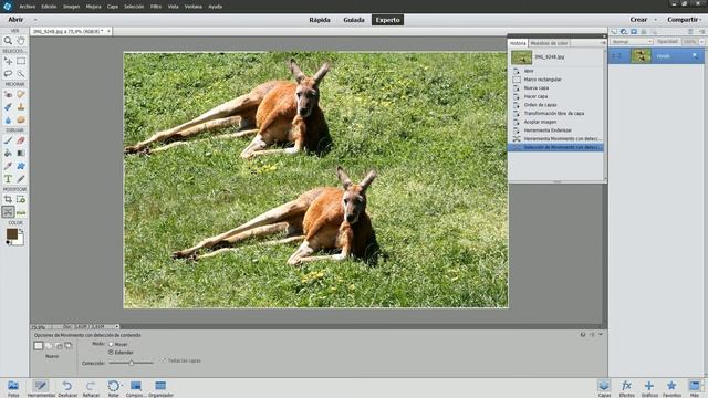 TUTORIAL ADOBE PHOTOSHOP ELEMENTS 13 4 HERRAMIENTAS BASICAS смотреть онлайн