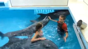 Моя первая встреча с дельфинами#море эмоций