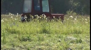 Окунево. Заливные луга. Косим сено.2014.