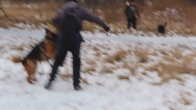 Финн ф Бергмансланд защита занятия++ смотреть онлайн