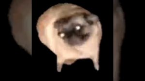 МОПС ФЛЕКСИТ 10ЧАСОВ||ПОД УКРАИНСКИЙ САЛО