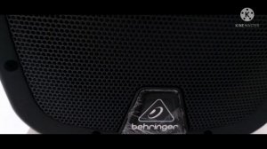 Behringer PK110A Speaker Unboxing