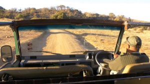 Pilanesberg National Park - South Africa