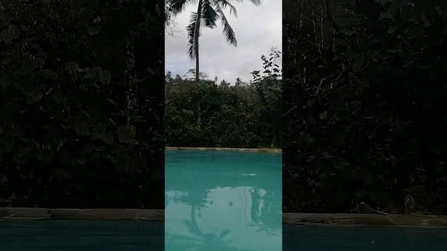 нижний бассейн отеля Ayung Resort Ubud, Индонезия, 2022г.