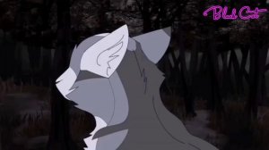 •Клип•-Коты Воители-"Колыбельная для принцессы"|Искра и Голубка|√Black Cat√