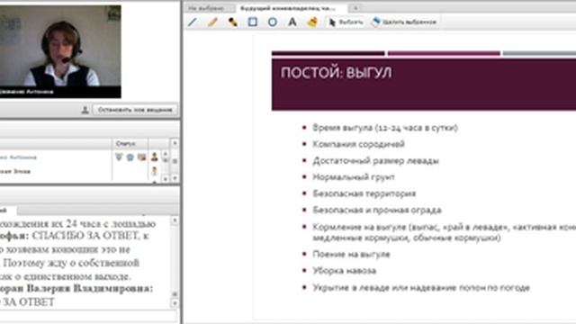 Вебинар "Будущий коневладелец" Часть 1 смотреть онлайн