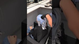 Окрашивание Тотал Блонд