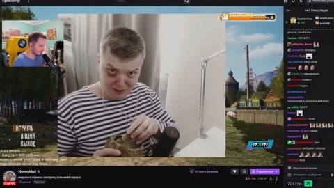 Мэддисон оценивает мой канал