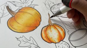 NEW 320 OHUHU BRUSH MARKERS?! (CLOSED) ?