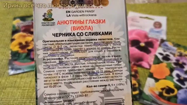 Анютины глазки(Виолы). Самые красивые сорта. Обзор.