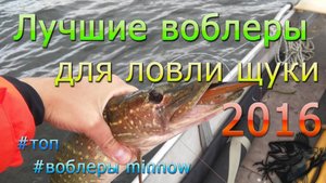 Лучшие воблеры для ловли щуки 2016