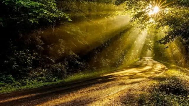 Chris Rea - Looking for the Summer * karaoke * смотреть онлайн