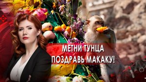 Метни тунца, поздравь макаку!. Тайны Чапман. (12.11.2021).