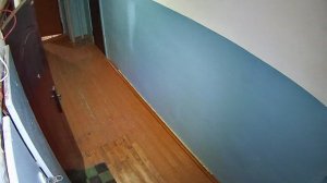 56 кв. одна краска для волос на 2 этажа