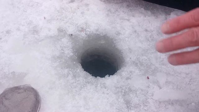 60.Медный Крючок.Зимняя рыбалка. ...даже рыбка добьется цели,если будет двигаться... смотреть онлайн