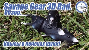 Savage Gear 3D Rad. Обзор. Крысы в поисках щуки!