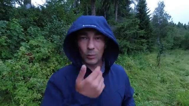 Охота и рыбалка пижма канал на дзене