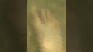 Август 2018 .Ростовская область.Солёное озеро