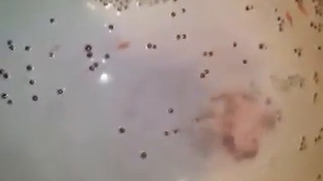 Bath bomb Demo - eclair peppermint chocolate ganache смотреть онлайн