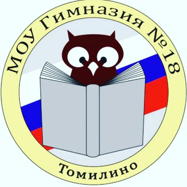 Гимназия 18