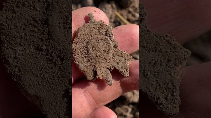 Награда,вермахт #коп #metaldetecting