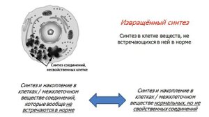 Дистрофии. Общие вопросы