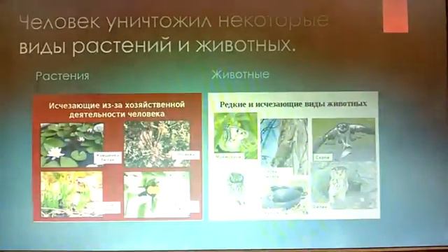 дс 20 Золотой ключик Пушкино смотреть онлайн