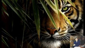 Настрой на победу. Смотреть перед соревнованиями. Фрагмент. Евгений Кох