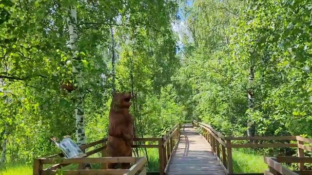 Поездка в Керженский заповедник Нижегородской области ? Экотропа Земля оленей?Россия??Russia #short