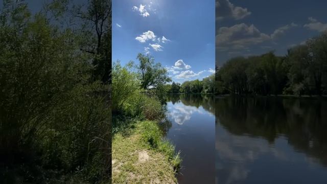 Английский пруд - одно из лучших мест для отдыха в Петергофе, Санкт-Петербург