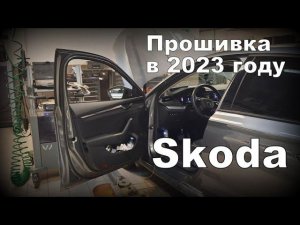 Skoda A8: Прошивка Блоков Реальна в 2023 году? Как всё проходит? (2023)