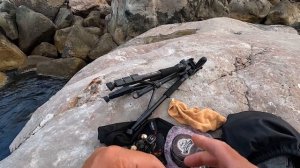 Морская Рыбалка. Ловля Саргана на Бомбарду с Берега Черного Моря