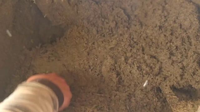 Чем утеплить потолок бани со стороны холодного чердака? Дедовский метод по новой технологии!