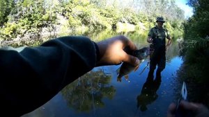 Осенний ЖОР ЩУКИ в Волго-Ахтубинской пойме.