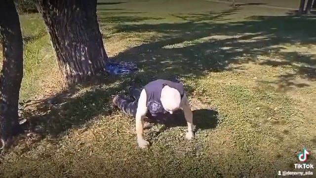 Разминка. Бой с тенью. смотреть онлайн