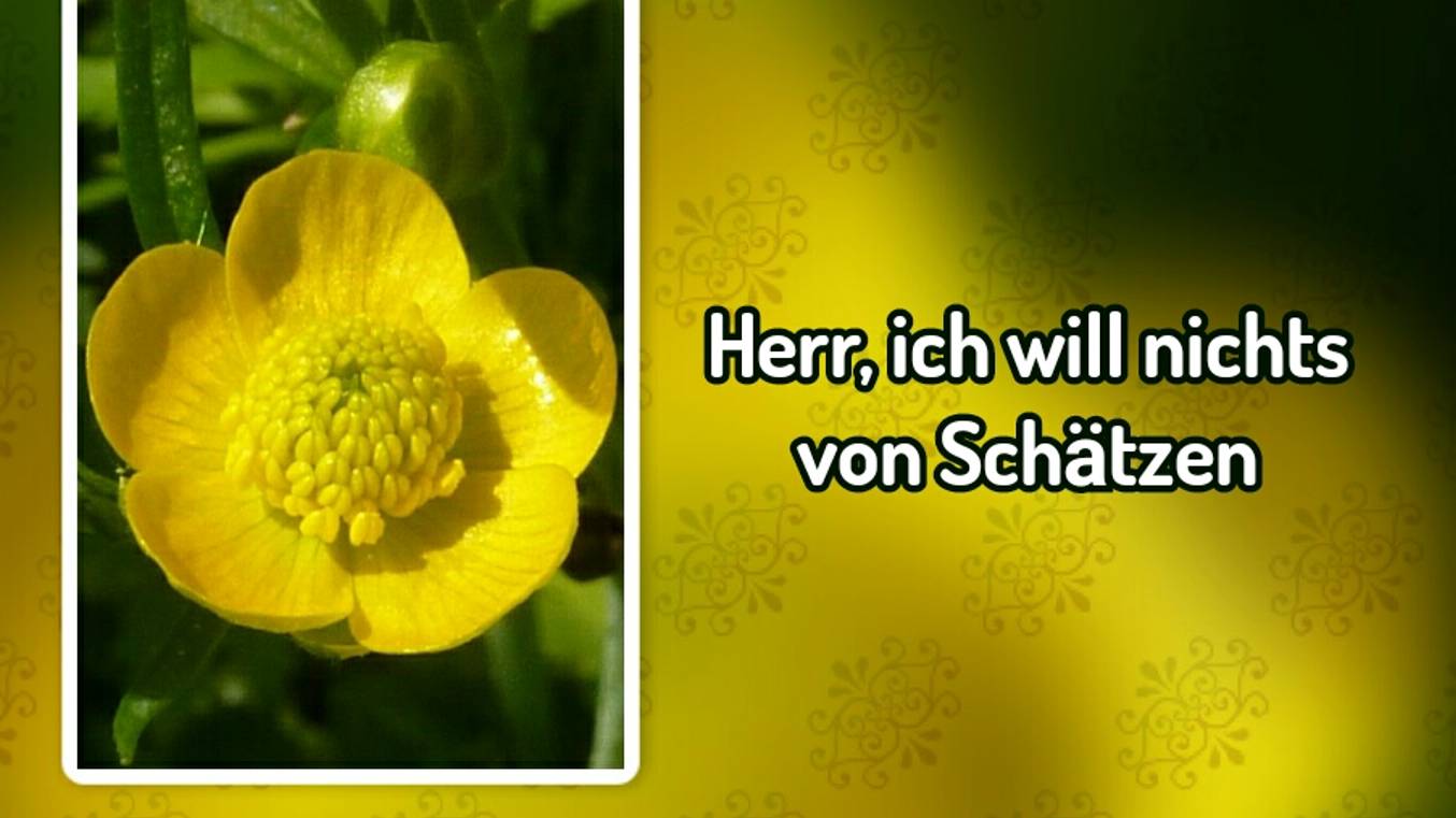 Herr, ich will nichts von Schӓtzen (-)