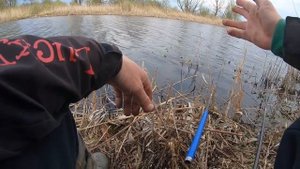 Красный карась, линь, ловля на удочку в конце апреля. Рыбалка с сыном