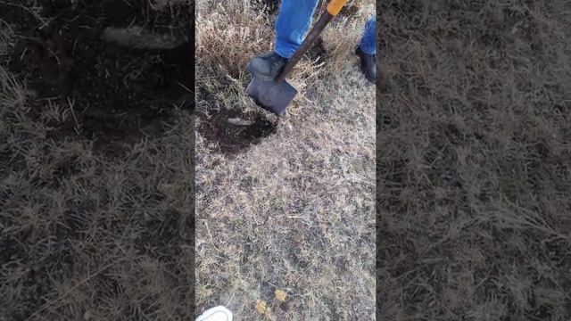 Ака Сигнум поиски металлолома смотреть онлайн