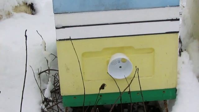 пчелы в декабре - часть 5 - вариант улья при зимовке , лысонь плюс лысонь, спаренные ульи