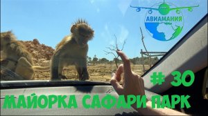 Майорка Сафари парк: голодные обезьяны атакуют (safari zoo) #30 #Авиамания