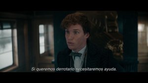 Fantastic Beasts  The Secrets of Dumbledore l T2