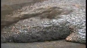 Биогазовая установка для фермерского хозяйства